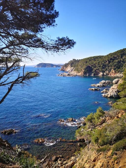 Apartamento Con Piscina L' Ancora Calella De Palafrugell Zewnętrze zdjęcie